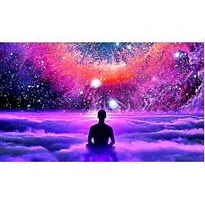 Organic Retreat with Oscar Phoenix - Sunday 20th August 2023